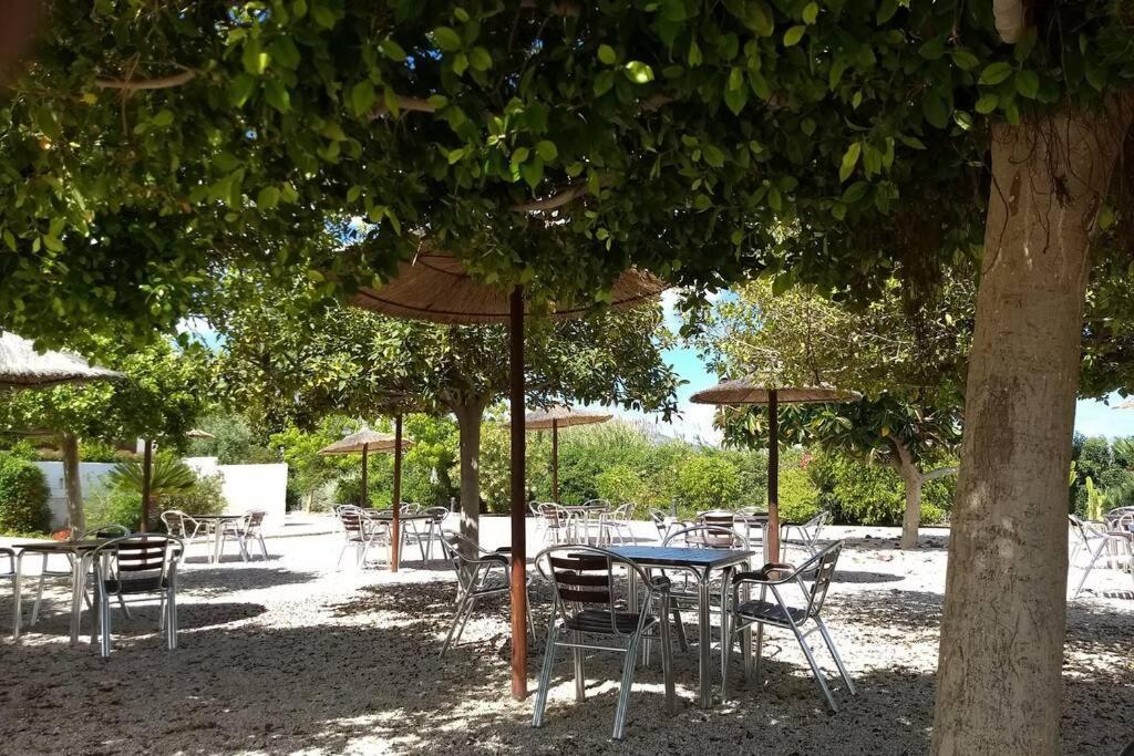 דירות אלתיאה Beachfront Apt! Ac - Pool - Parking מראה חיצוני תמונה