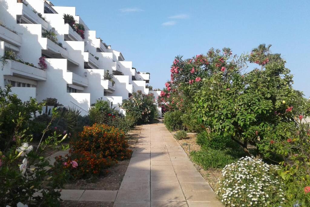 דירות אלתיאה Beachfront Apt! Ac - Pool - Parking מראה חיצוני תמונה